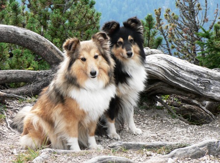 Livy und Mandy
